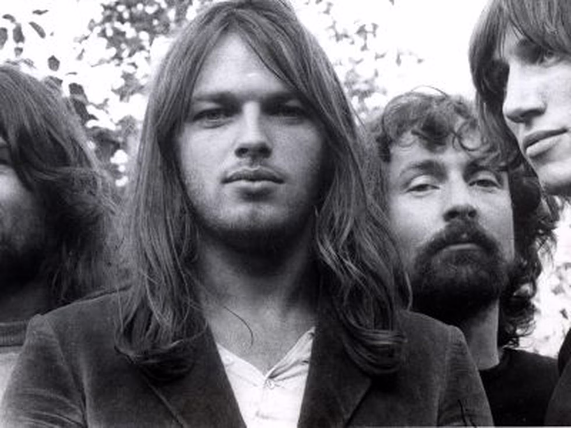 David Gilmour
